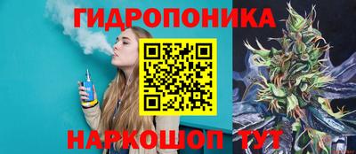 ECSTASY Будённовск