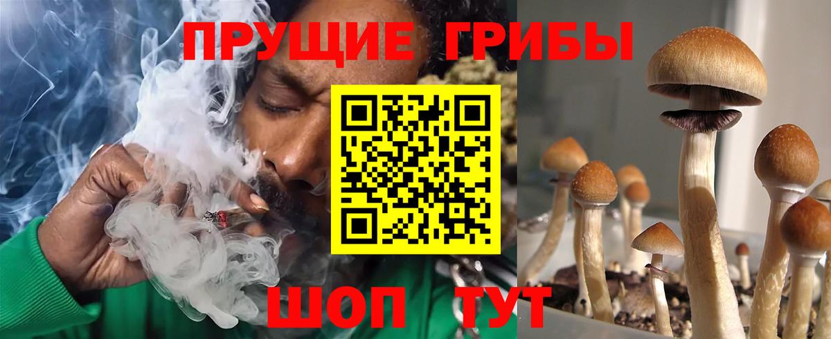 Псилоцибиновые грибы Psilocybine cubensis  Галлюциногенные грибы мицелий  Вход с VPN  Нижнеудинск 